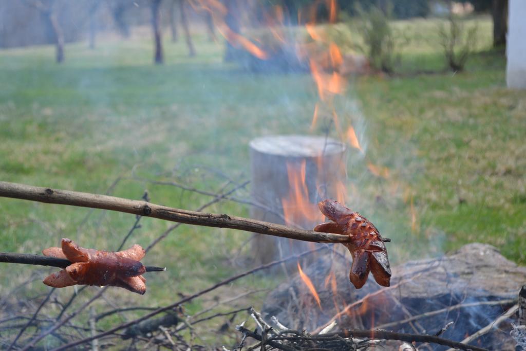 Chalupa Pod Klepacem Králíky Bagian luar foto