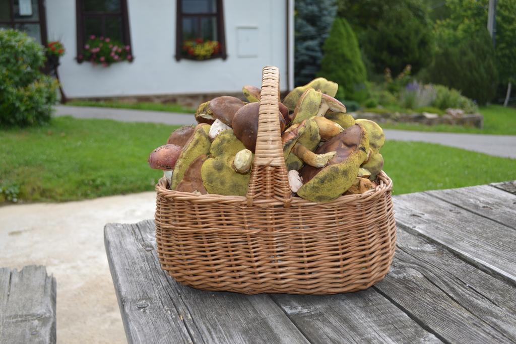Chalupa Pod Klepacem Králíky Bagian luar foto
