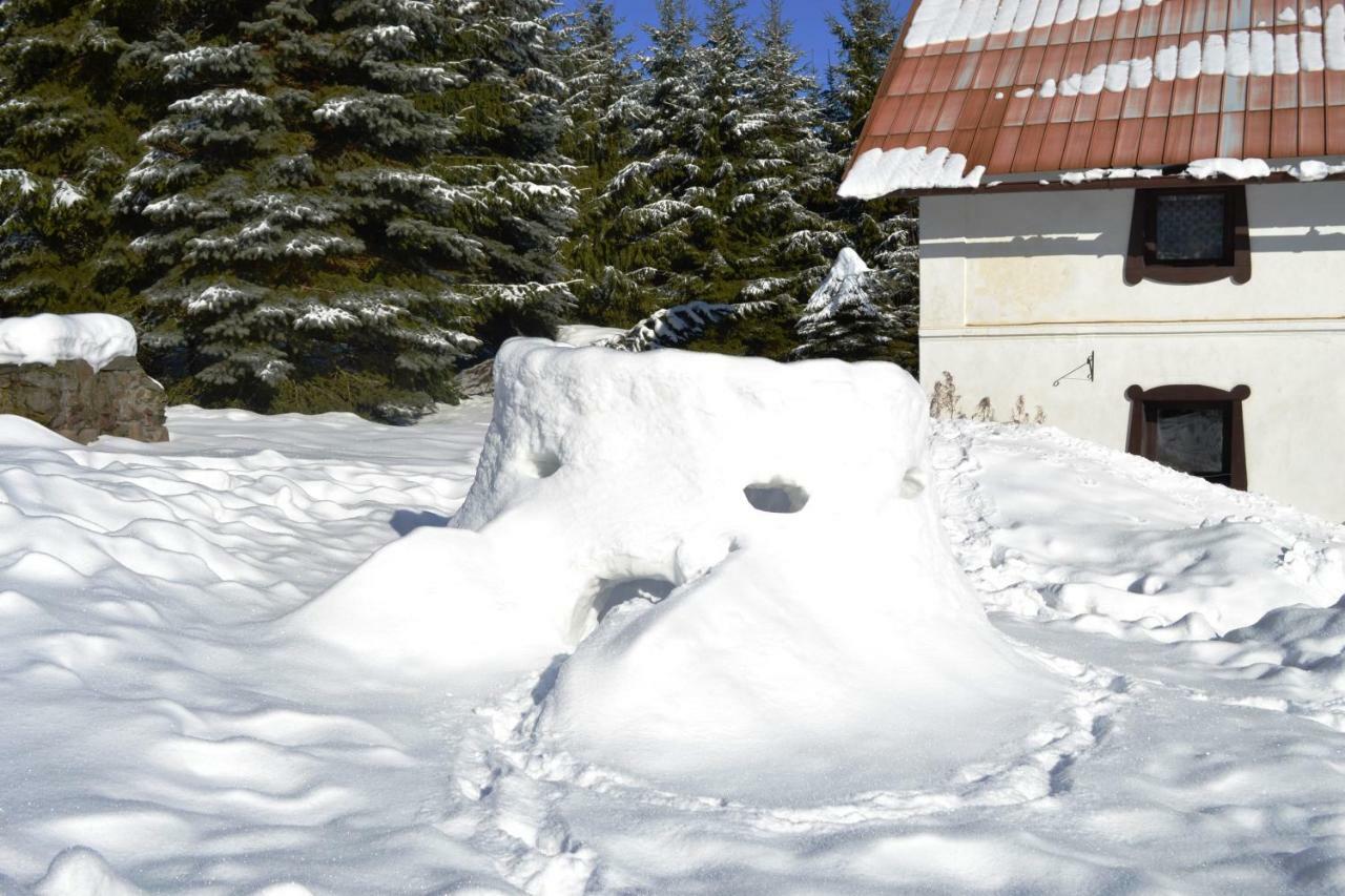 Chalupa Pod Klepacem Králíky Bagian luar foto